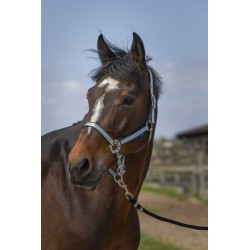 Licol NORTON -Nylon Soft-