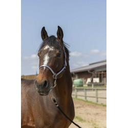 Licol NORTON -Nylon Soft-