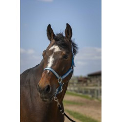 Licol NORTON -Nylon Soft-