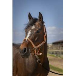 Licol NORTON -Nylon Soft-