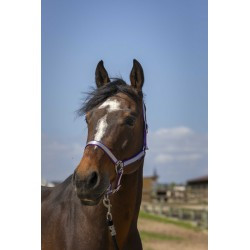 Licol NORTON -Nylon Soft-