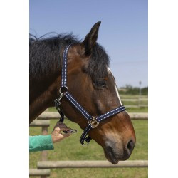 Licol NORTON - Grooming