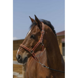 Licol NORTON - Satine