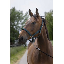 Licol NORTON - Satine