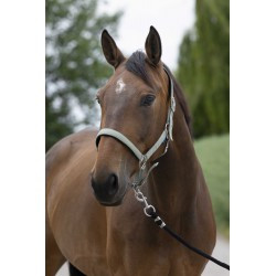 Licol NORTON - Satine