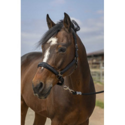 Licol EQUITHÈME - Nylon Strass