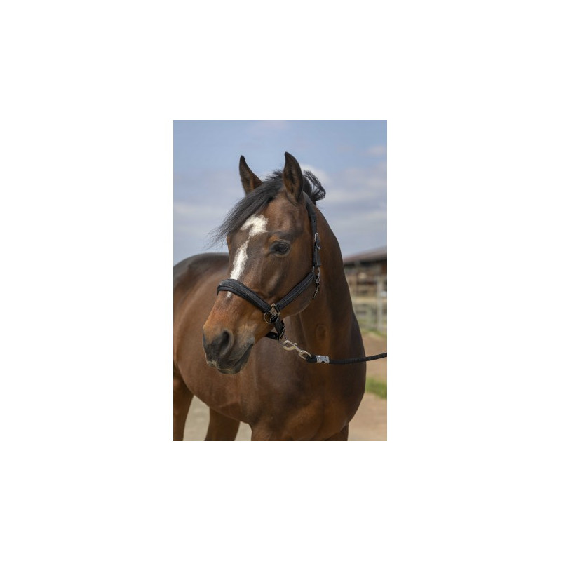 Licol EQUITHÈME - Nylon Strass