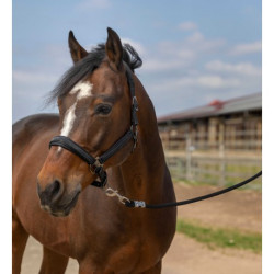Licol EQUITHÈME - Nylon Strass
