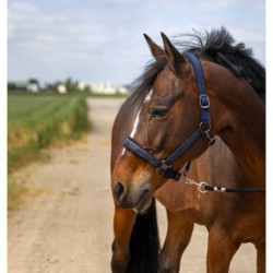 Licol EQUITHÈME - Nylon Strass