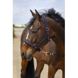 Licol EQUITHÈME - Nylon Strass