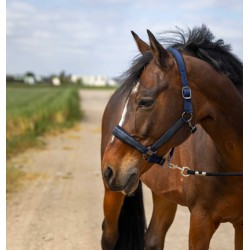 Licol EQUITHÈME - Nylon Strass