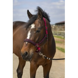 Licol EQUITHÈME - Nylon Strass