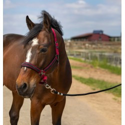 Licol EQUITHÈME - Nylon Strass