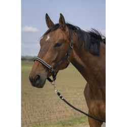 Licol EQUITHÈME - Nylon Chevron