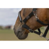 Licol EQUITHÈME - Nylon Chevron