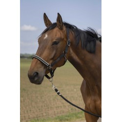 Licol EQUITHÈME - Nylon Chevron
