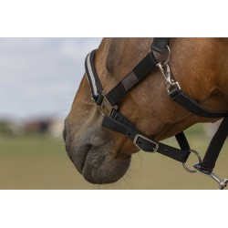 Licol EQUITHÈME - Nylon Chevron