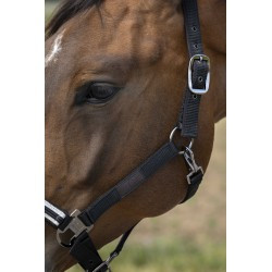 Licol EQUITHÈME - Nylon Chevron