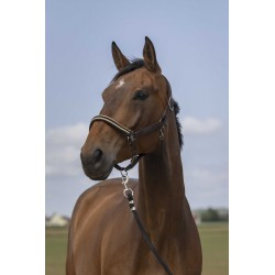 Licol EQUITHÈME - Nylon Chevron