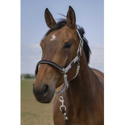 Licol EQUITHÈME - Nylon Chevron