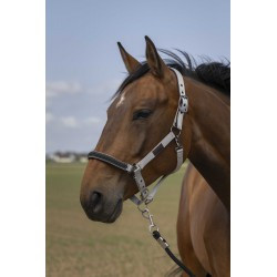 Licol EQUITHÈME - Nylon Chevron