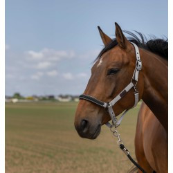 Licol EQUITHÈME - Nylon Chevron