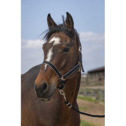 Licol EQUITHÈME - Nylon light