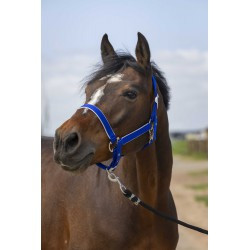 Licol EQUITHÈME - Nylon light