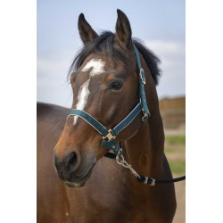 Licol EQUITHÈME - Nylon light
