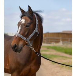 Licol EQUITHÈME - Nylon light