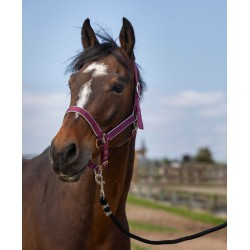 Licol EQUITHÈME - Nylon light