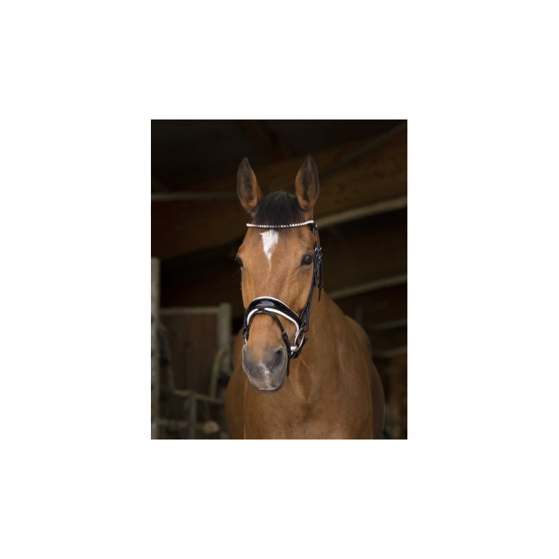 Bridon NORTON PRO - Bella