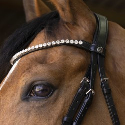 Bridon NORTON PRO - Bella