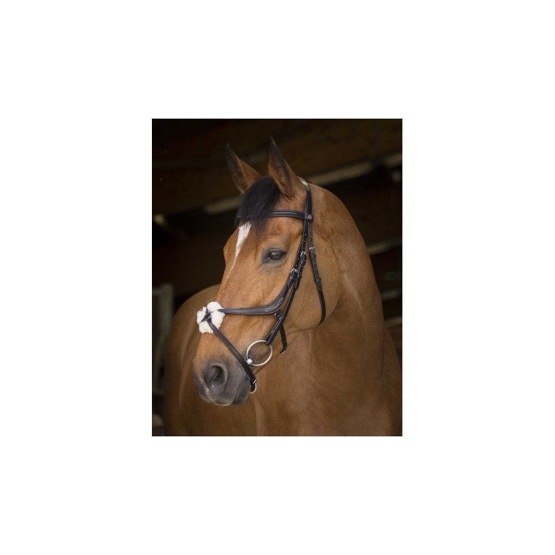 Bridon NORTON PRO - Muserolle croisée