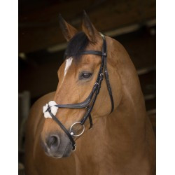 Bridon NORTON PRO - Muserolle croisée