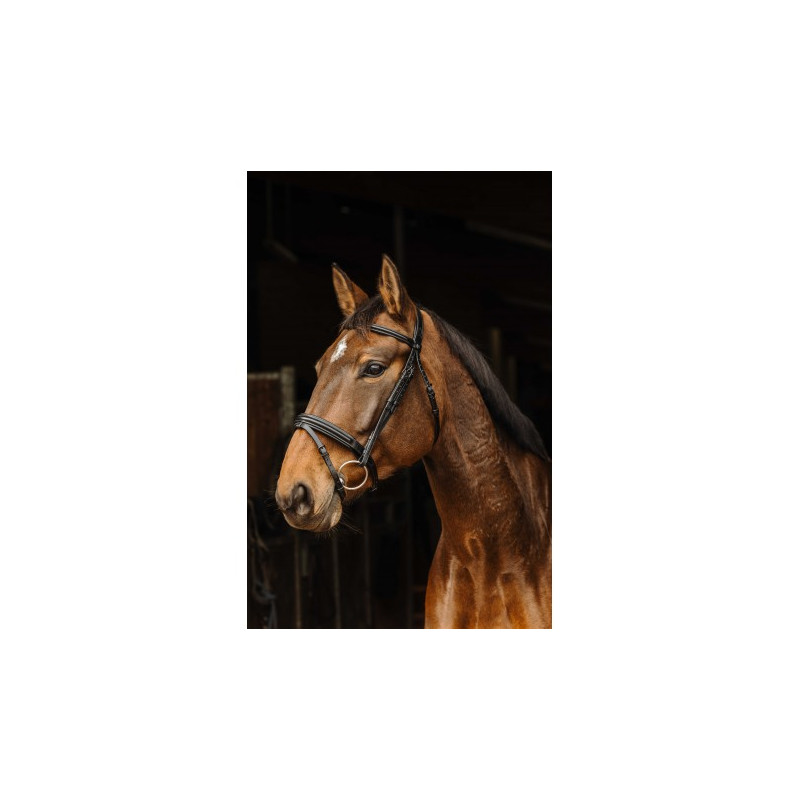 Bridon NORTON PRO - Apophyse