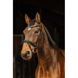 Bridon NORTON PRO - Galon