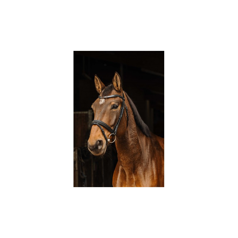 Bridon NORTON PRO - Galon