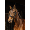 Bridon NORTON PRO - Galon