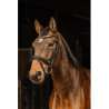 Bridon NORTON PRO - Galon