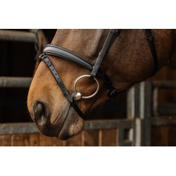 Bridon NORTON PRO - Dark