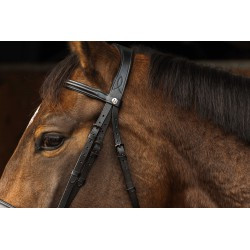Bridon NORTON PRO - Dark