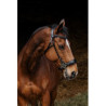 Bridon NORTON PRO - Hackamore