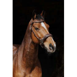 Bridon NORTON PRO - Hackamore