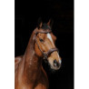 Bridon NORTON PRO - Hackamore