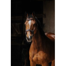 Bridon NORTON PRO - Hackamore