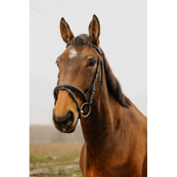 Bridon NORTON CLUB - Square