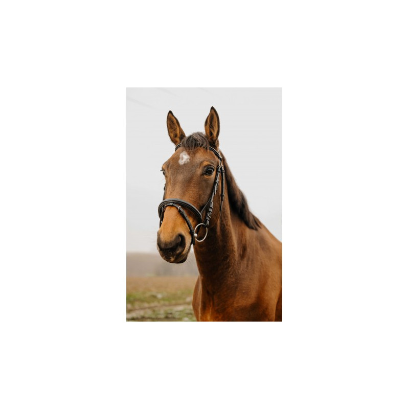 Bridon NORTON CLUB - Square