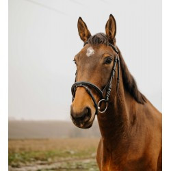 Bridon NORTON CLUB - Square