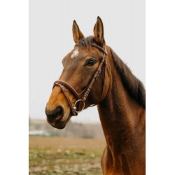 Bridon NORTON CLUB - Square